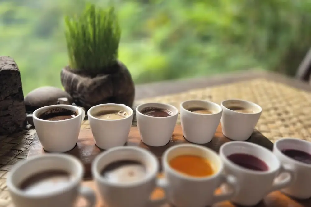 Bali Pulina by Annika Jakob