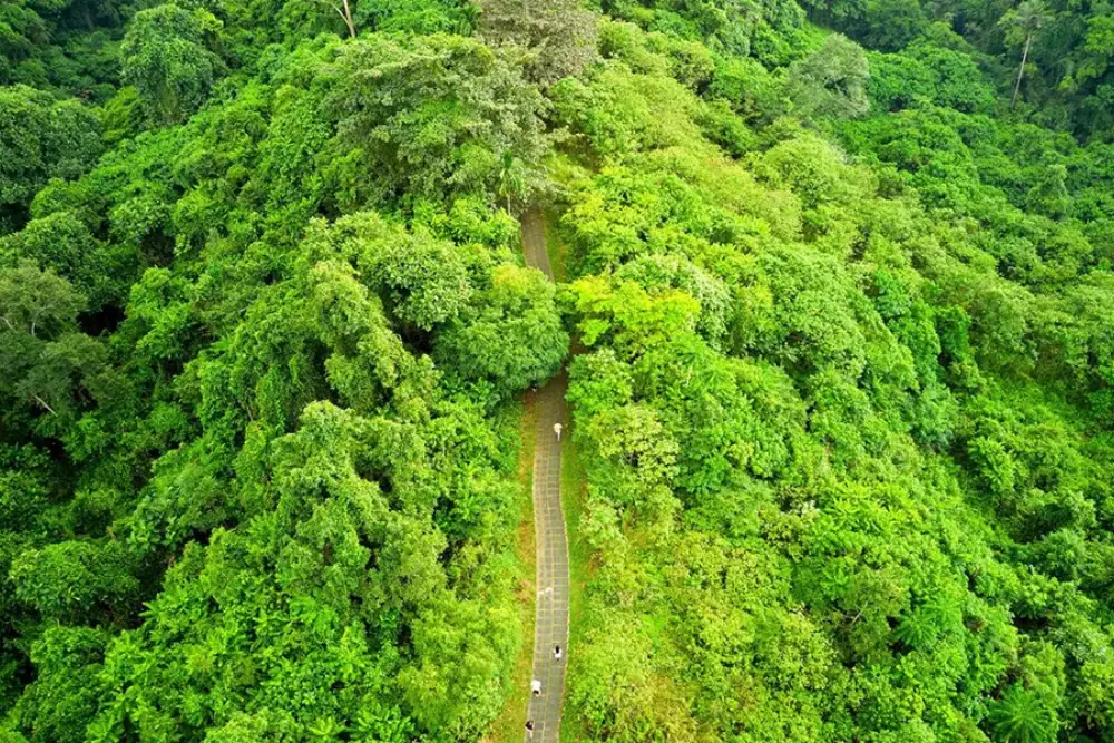 Campuhan Bridge by Contributor Leonid Serebrennikov