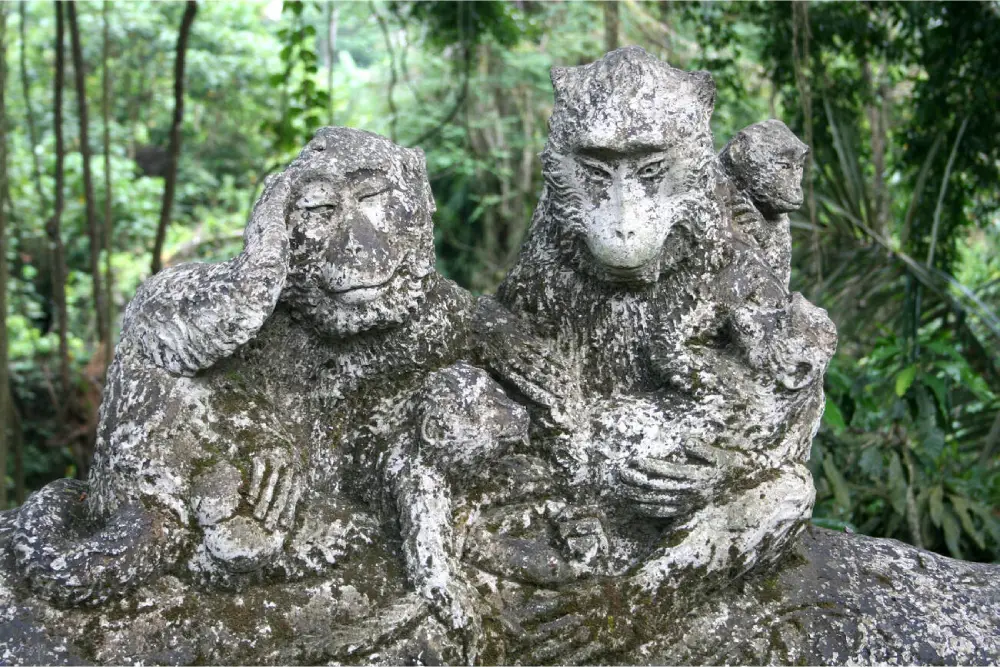 Monkey Forest by Contributor Sabena Jane Blackbird