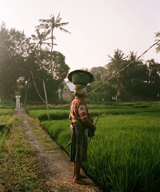 Photo Bali as an Agrarian Society by Thomas Poulet Travel, Lifestyle & Old money aesthetic
