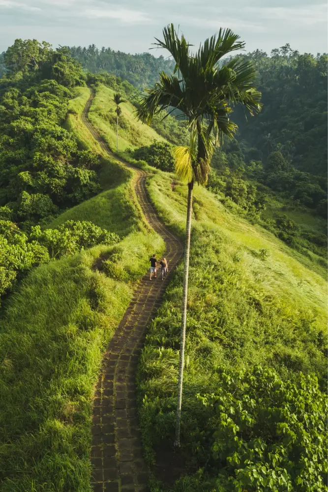 Photo Campuhan Ridge Walk by Изображения пользователя Oleg Breslavtsev