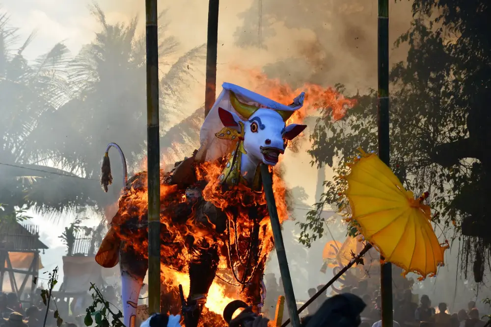 Photo Lembu by Thomas321