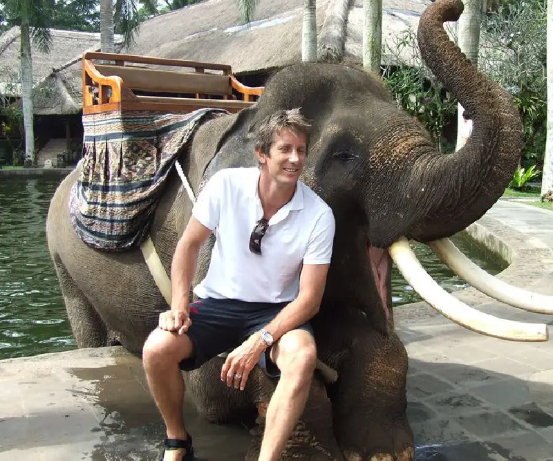 Photo Mason Elephant by Tonya Lyon