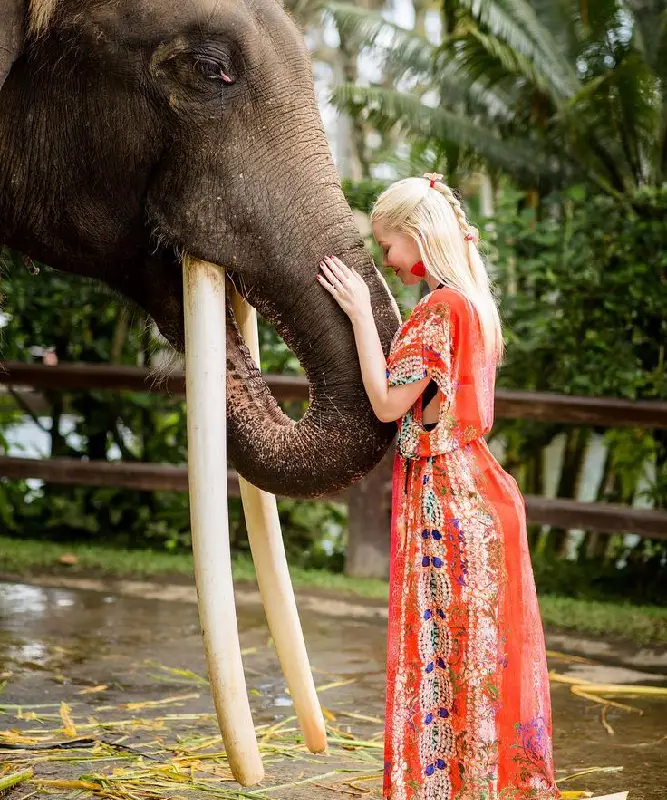 Photo Mason elephant by Mason Elephant Park & Lodge with Lenka Josefiova, thetravellingbeautyqueen, misseuropeantourism2015 and 2018recap