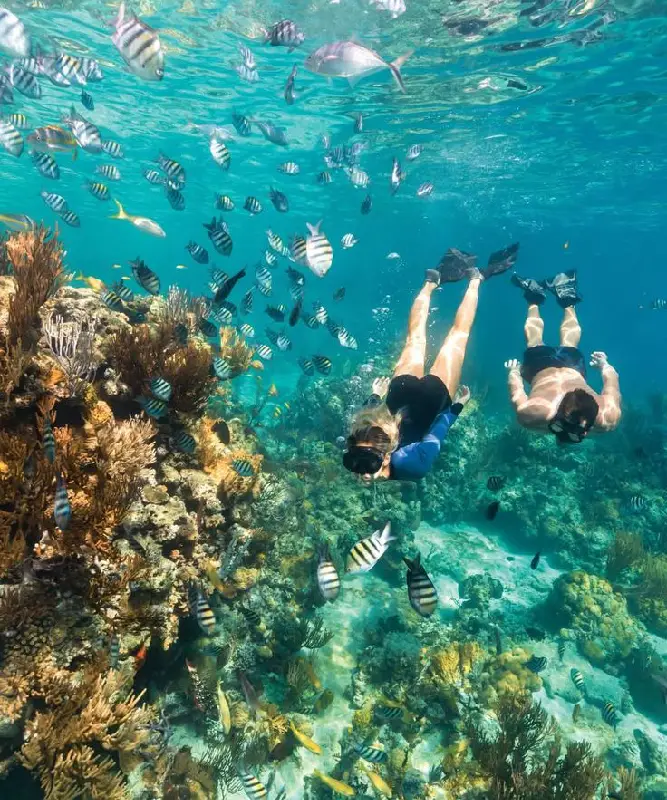 Photo Romantic Snorkeling in Amed by Teresa Brumbelow