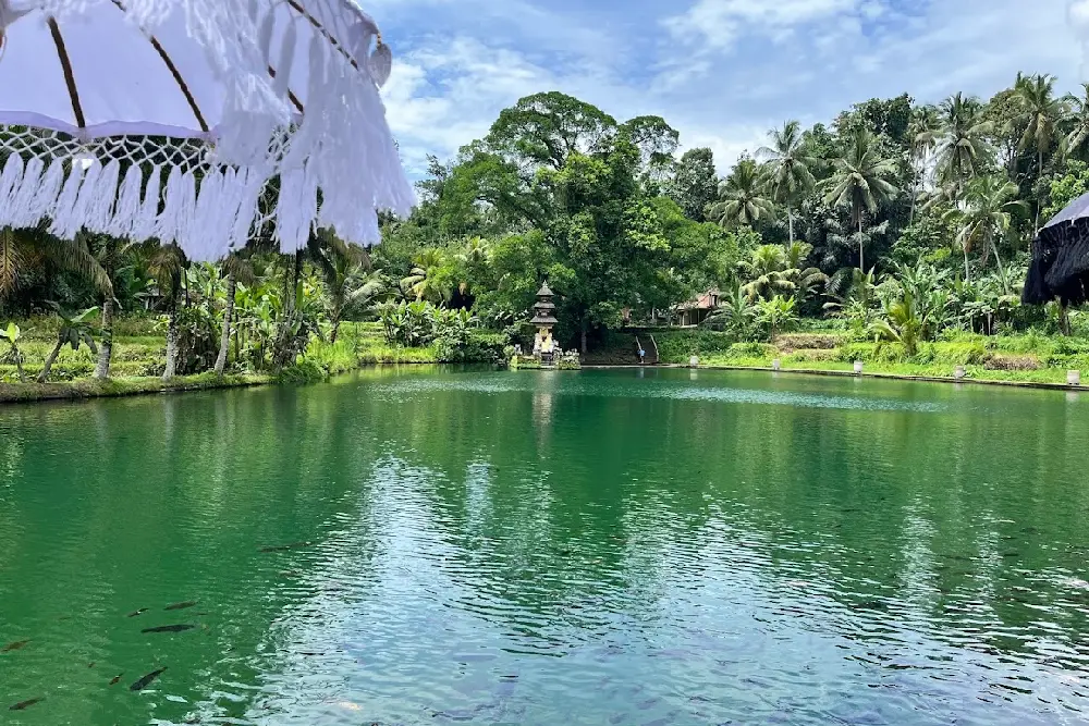 Photo Taman Mumbul Sangeh by R R