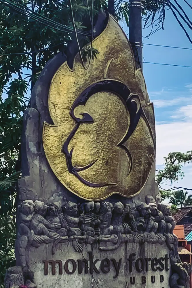 Photo by worldtravelreynolds - Nyepi & Pengerupukan in Ubud