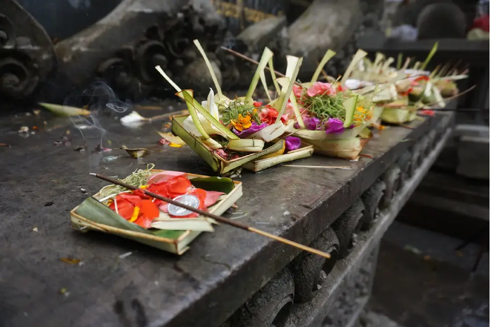 Travel Tips for Ubud by Alemedia.id