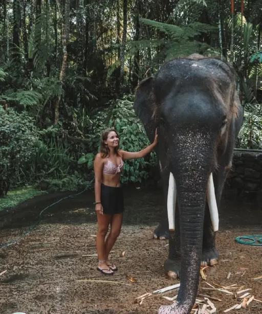 Photo Courtesy by Mason Elephant Sanctuary Bali complete guide